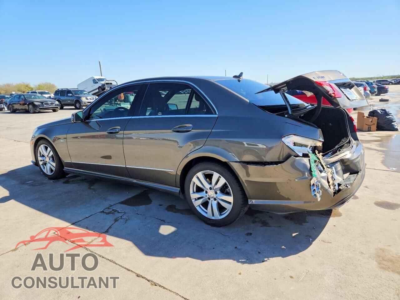 MERCEDES-BENZ E-CLASS 2011 - WDDHF2EB1BA445163