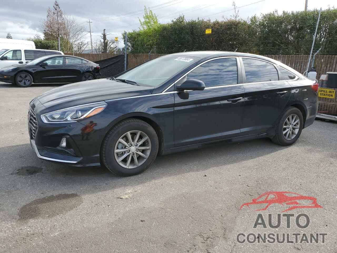 HYUNDAI SONATA 2019 - 5NPE24AF1KH744903