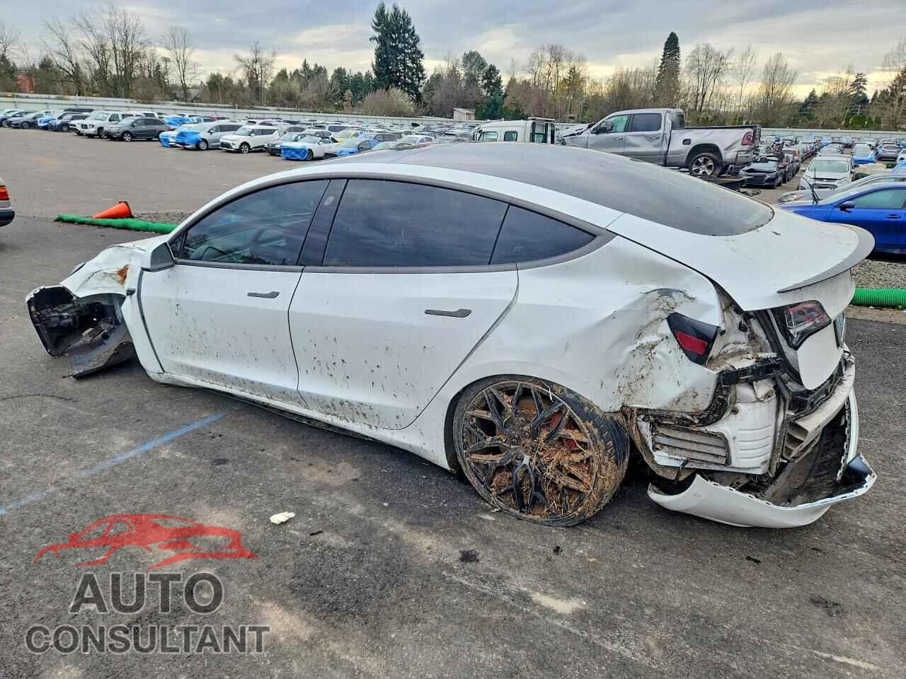 TESLA MODEL 3 2019 - 5YJ3E1EB9KF513976
