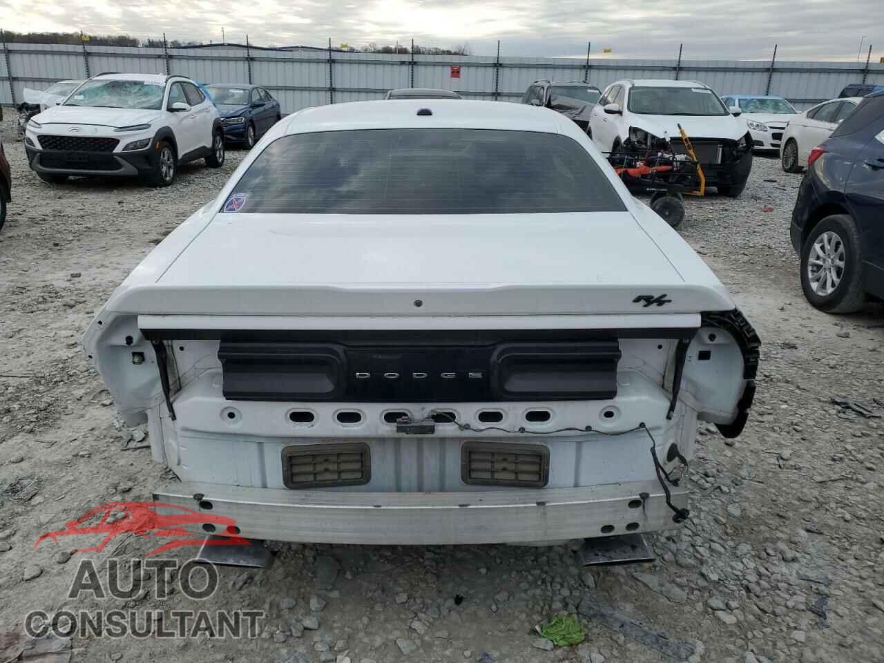 DODGE CHALLENGER 2019 - 2C3CDZBT9KH652017