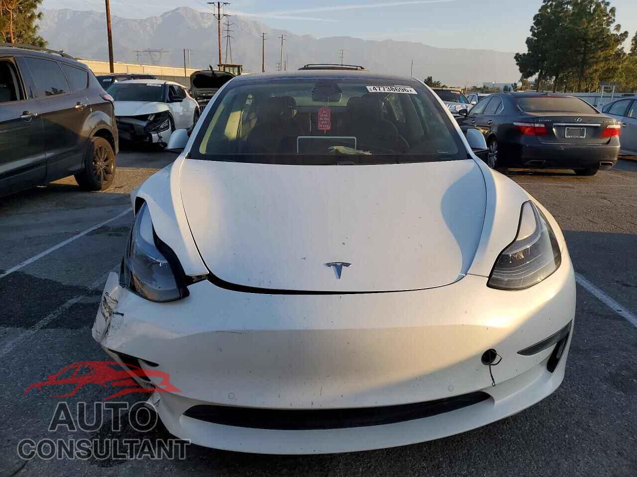 TESLA MODEL 3 2021 - 5YJ3E1EA0MF871820