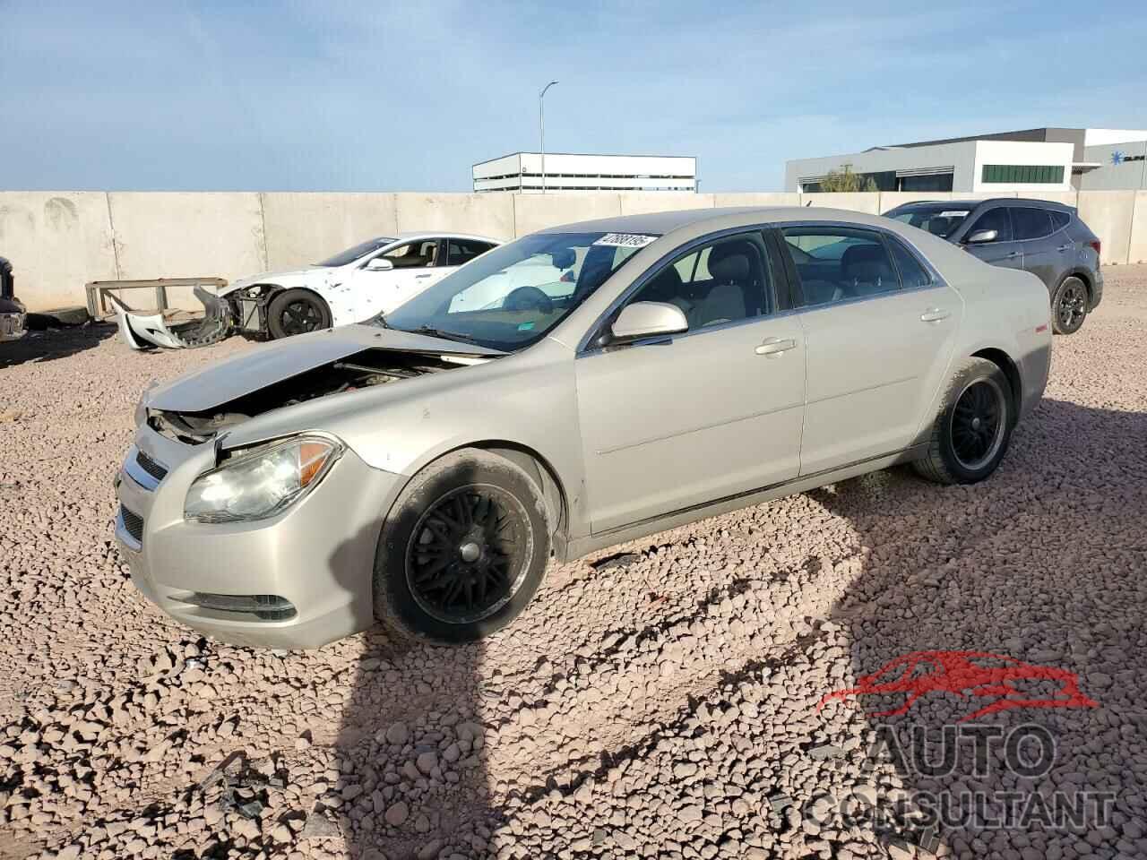 CHEVROLET MALIBU 2010 - 1G1ZC5EB7AF146392