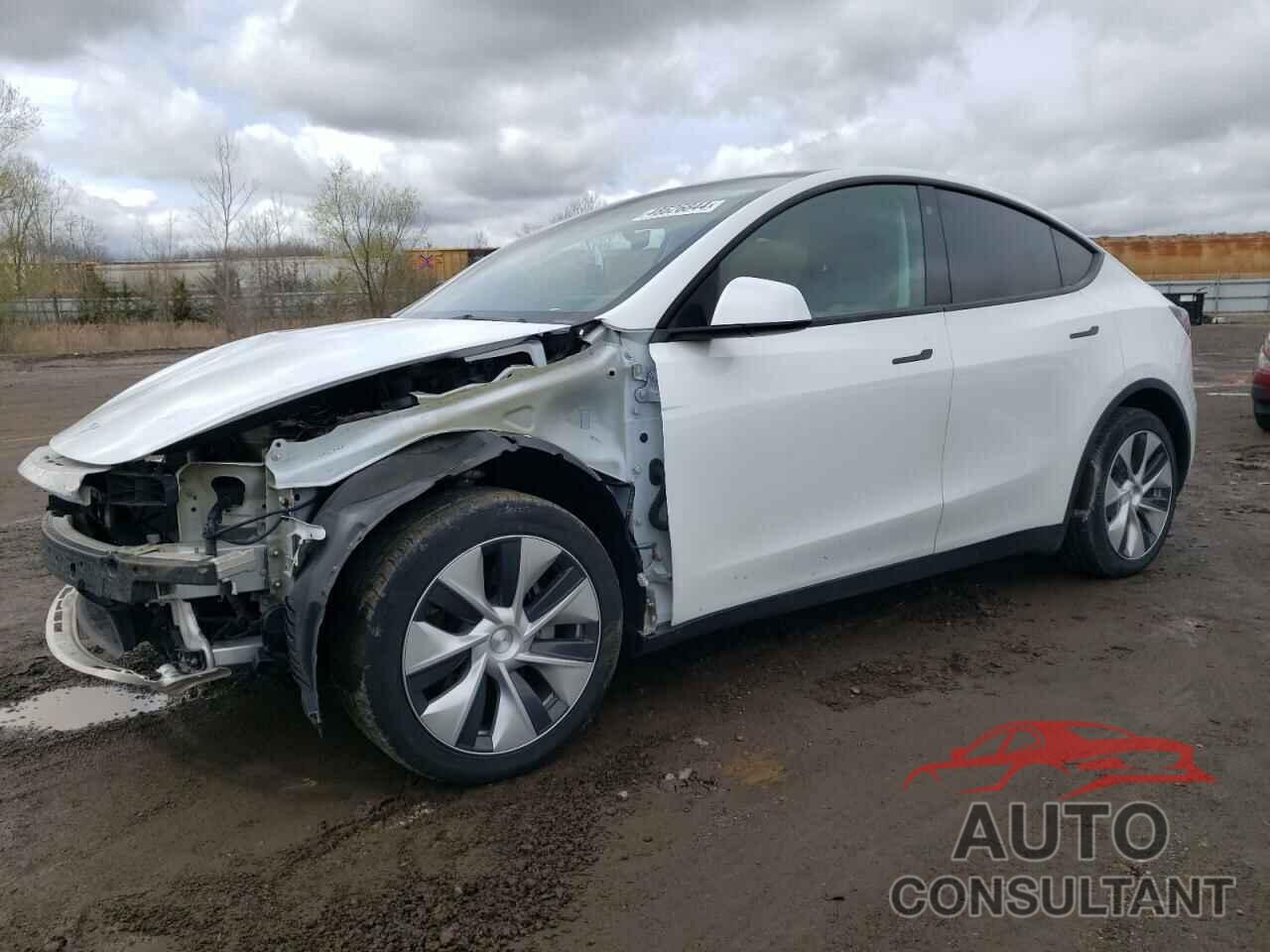 TESLA MODEL Y 2021 - 5YJYGDEEXMF210946