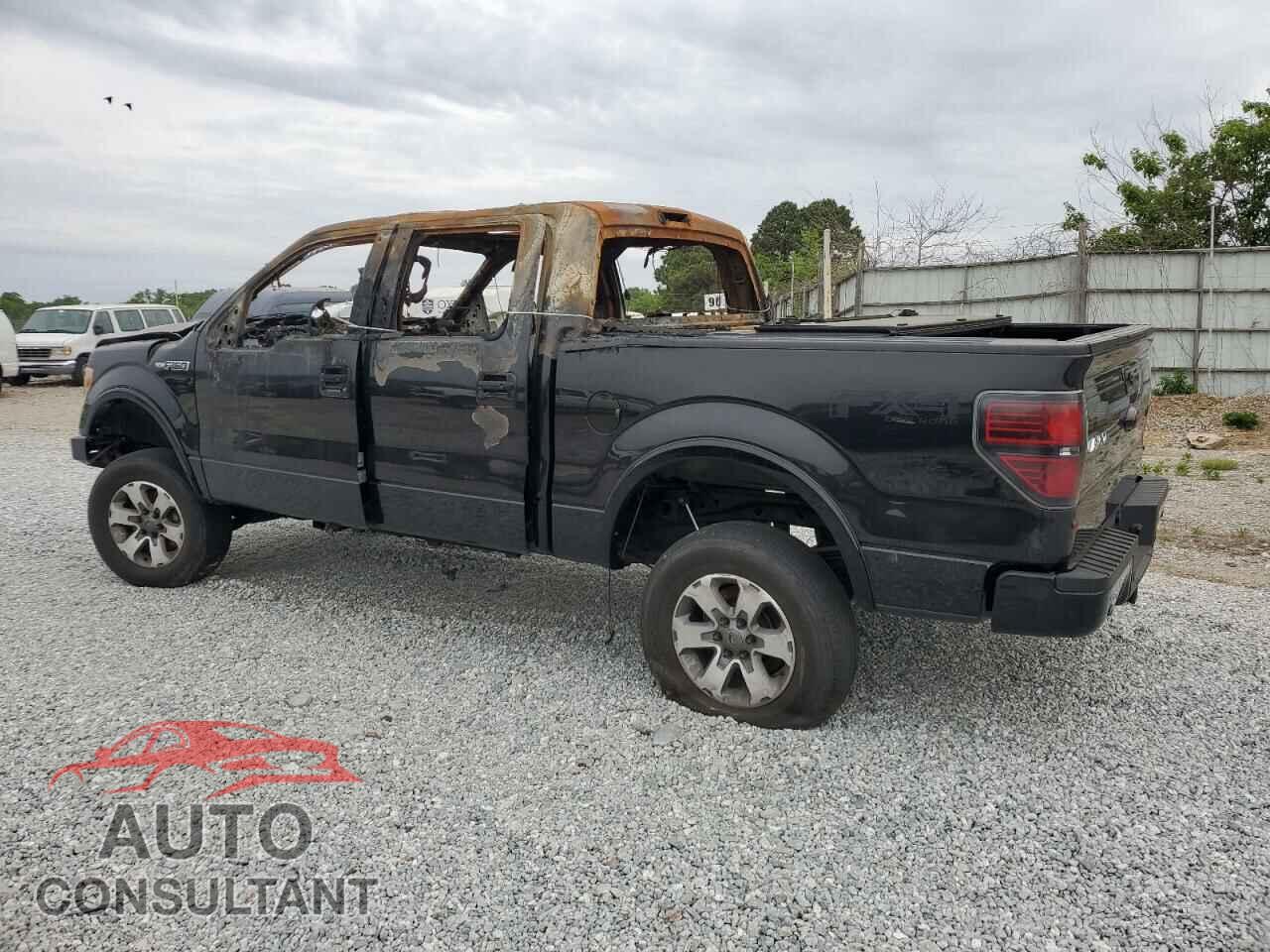 FORD F-150 2013 - 1FTFW1EF0DFD62389