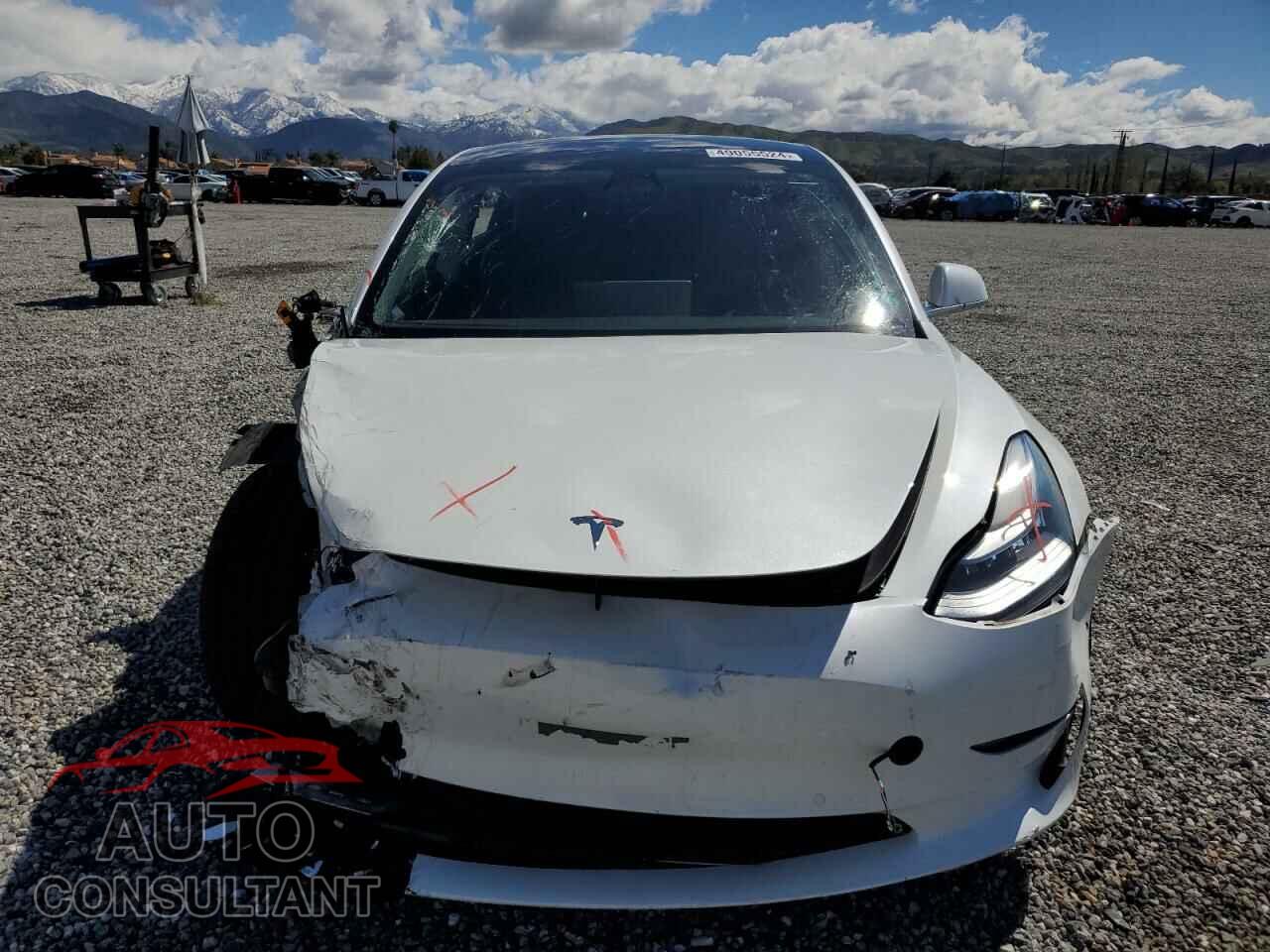 TESLA MODEL 3 2020 - 5YJ3E1EA7LF747042