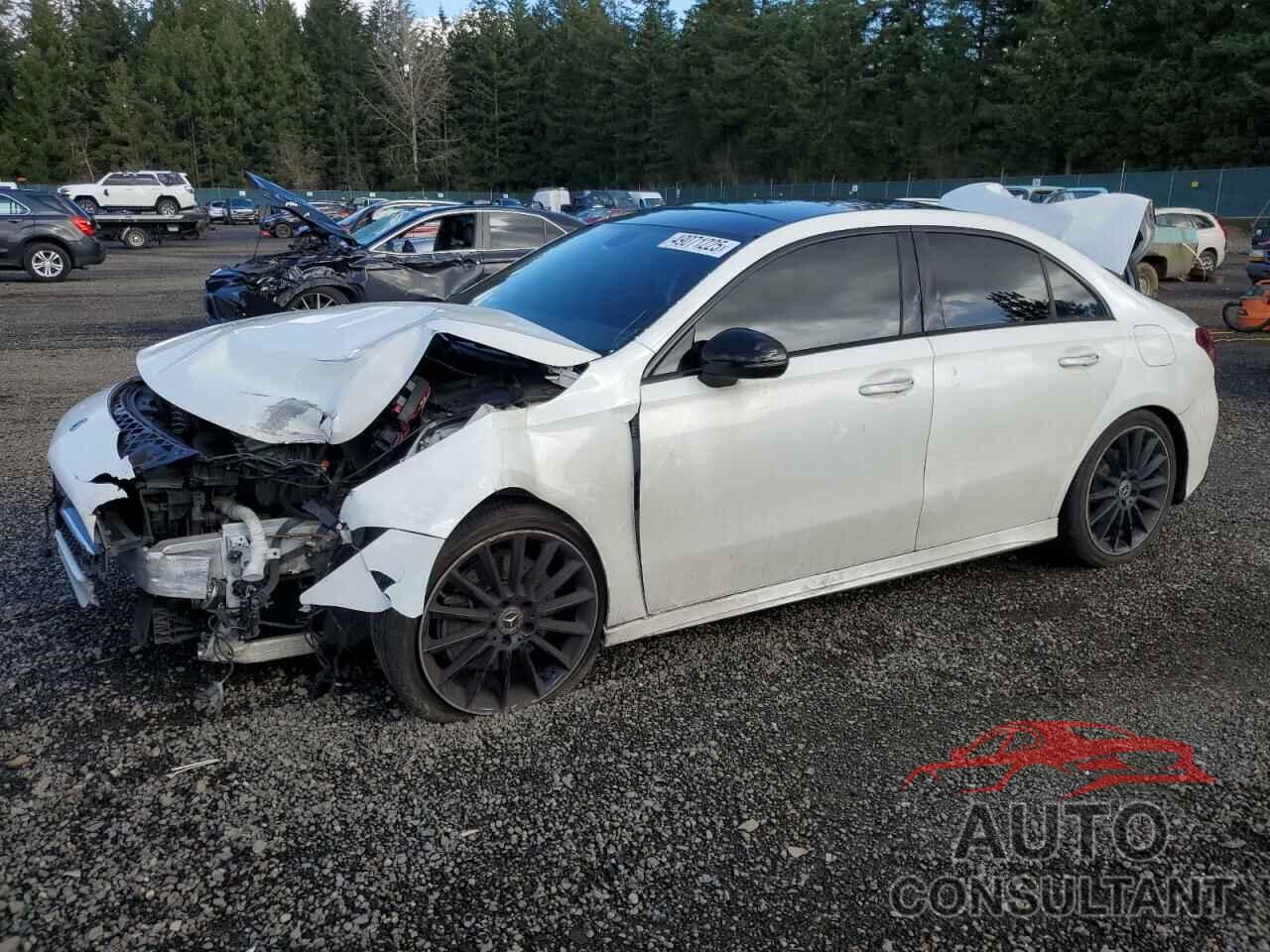 MERCEDES-BENZ A-CLASS 2019 - WDD3G4FB9KW021914