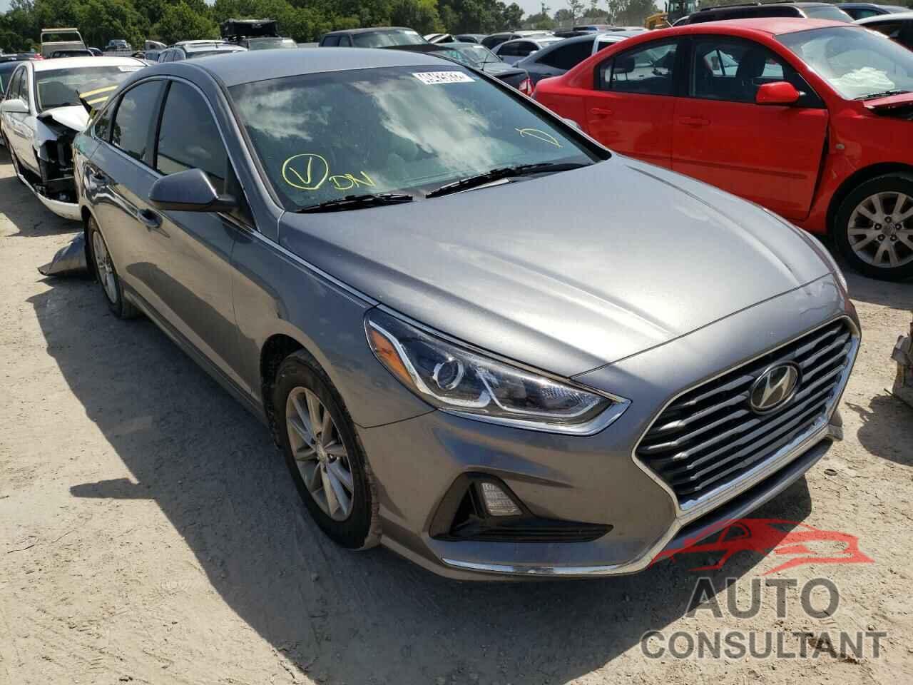 HYUNDAI SONATA 2019 - 5NPE24AF4KH763378
