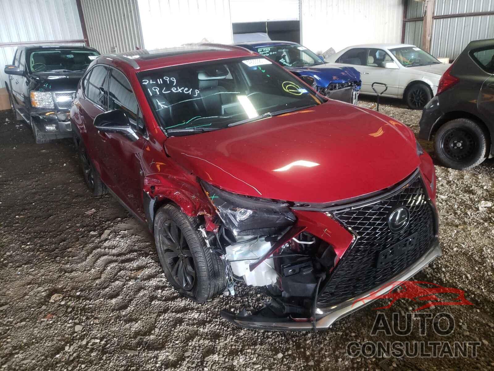 LEXUS NX 2019 - JTJYARBZ6K2118445