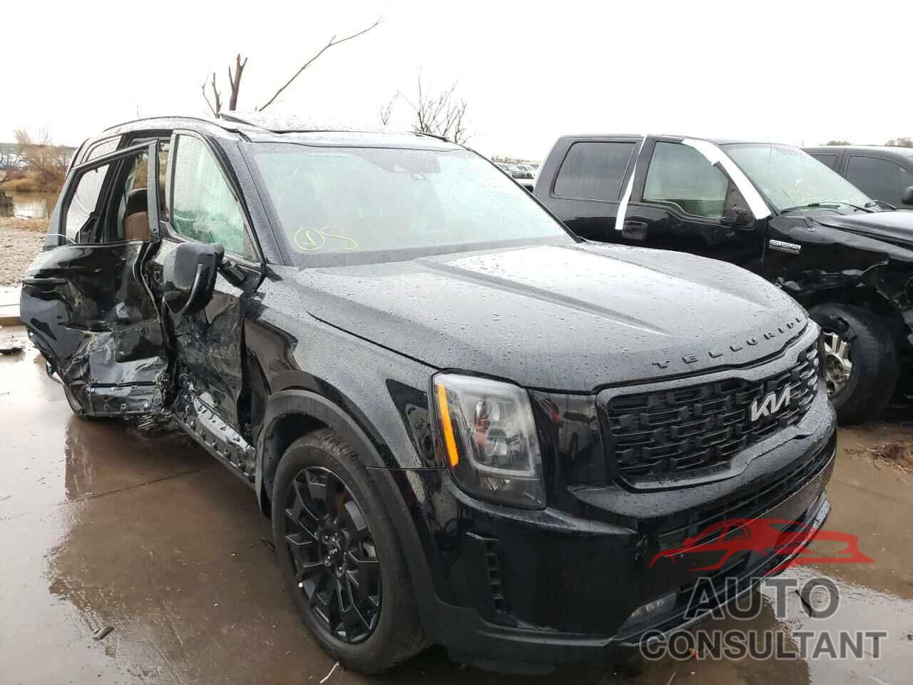 KIA TELLURIDE 2022 - 5XYP5DHC9NG197984