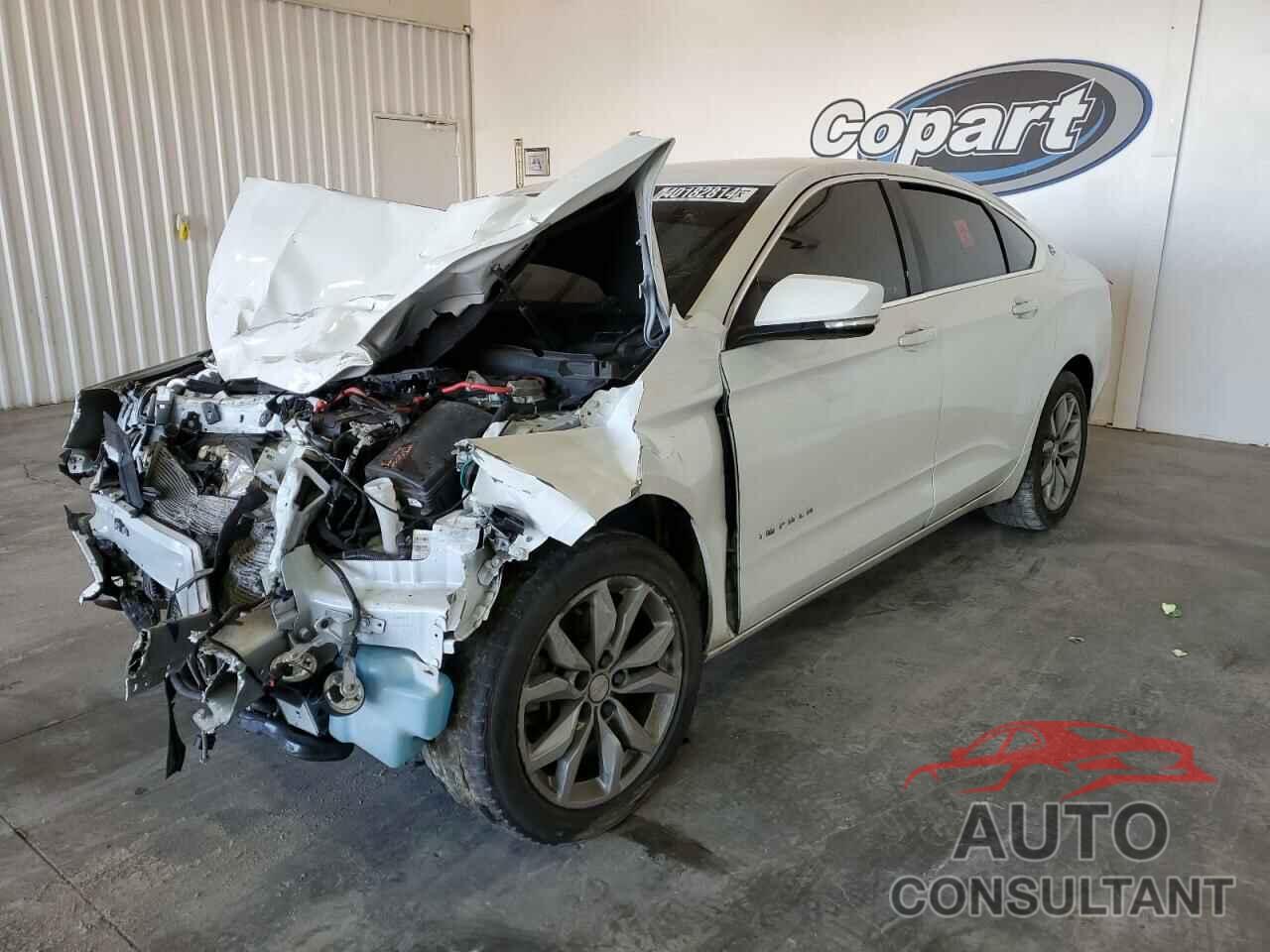 CHEVROLET IMPALA 2019 - 1G11Z5SA4KU133510