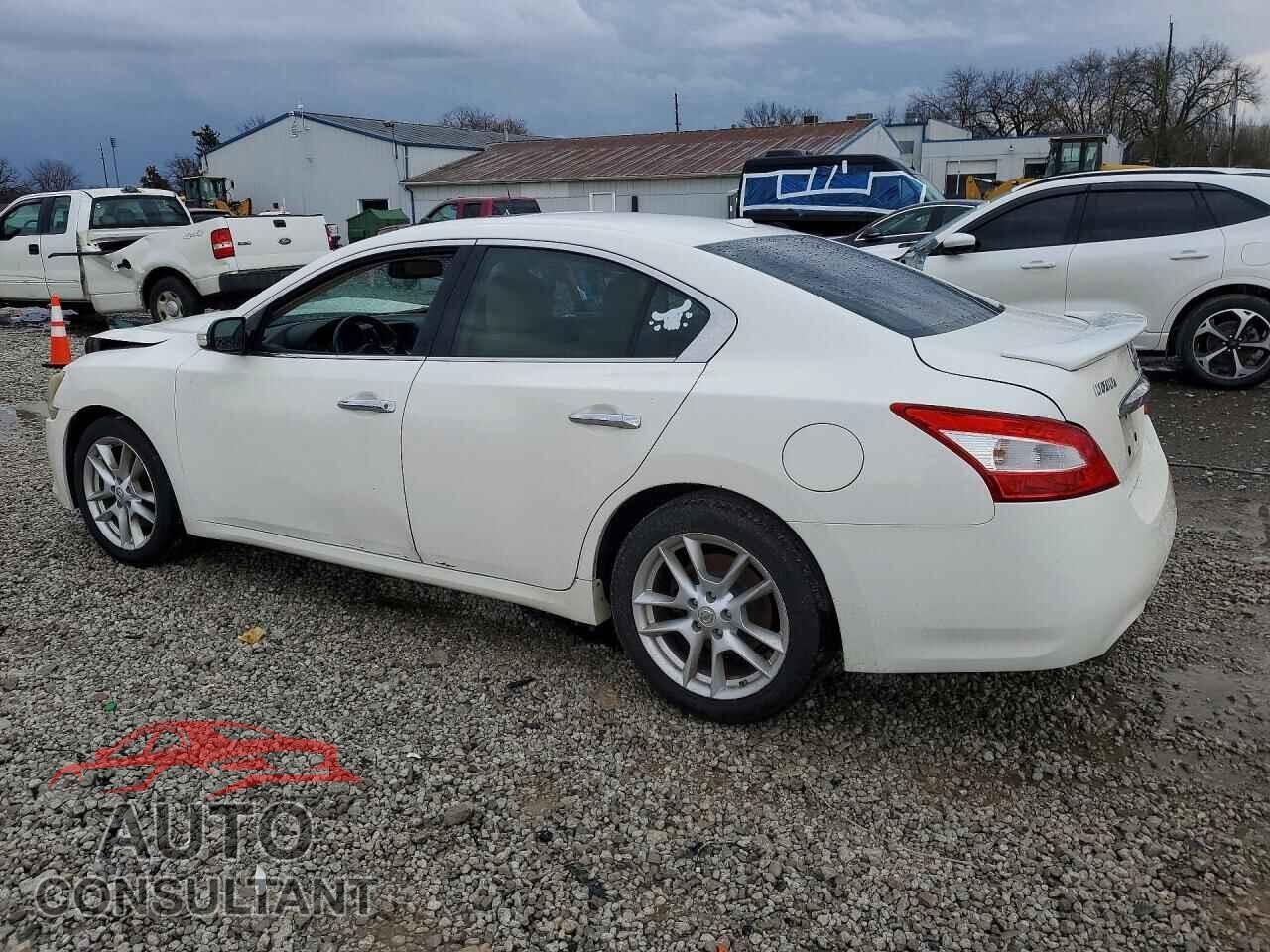 NISSAN MAXIMA 2011 - 1N4AA5AP1BC846154
