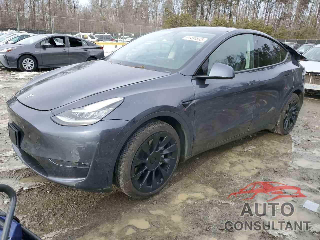 TESLA MODEL Y 2020 - 5YJYGDEE2LF033159