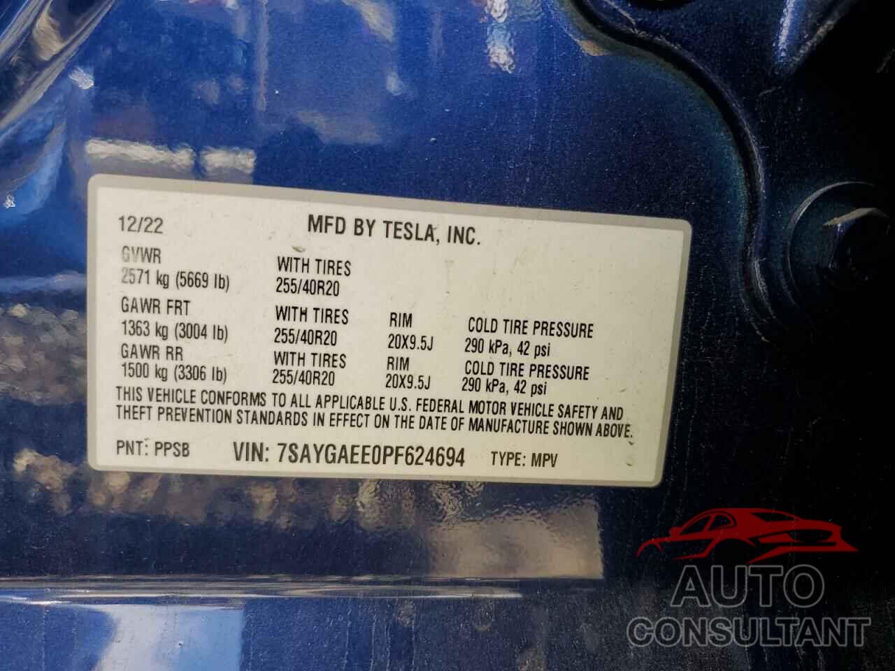TESLA MODEL Y 2023 - 7SAYGAEE0PF624694