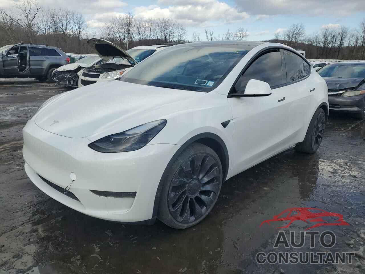 TESLA MODEL Y 2024 - 7SAYGDEF4RA265649