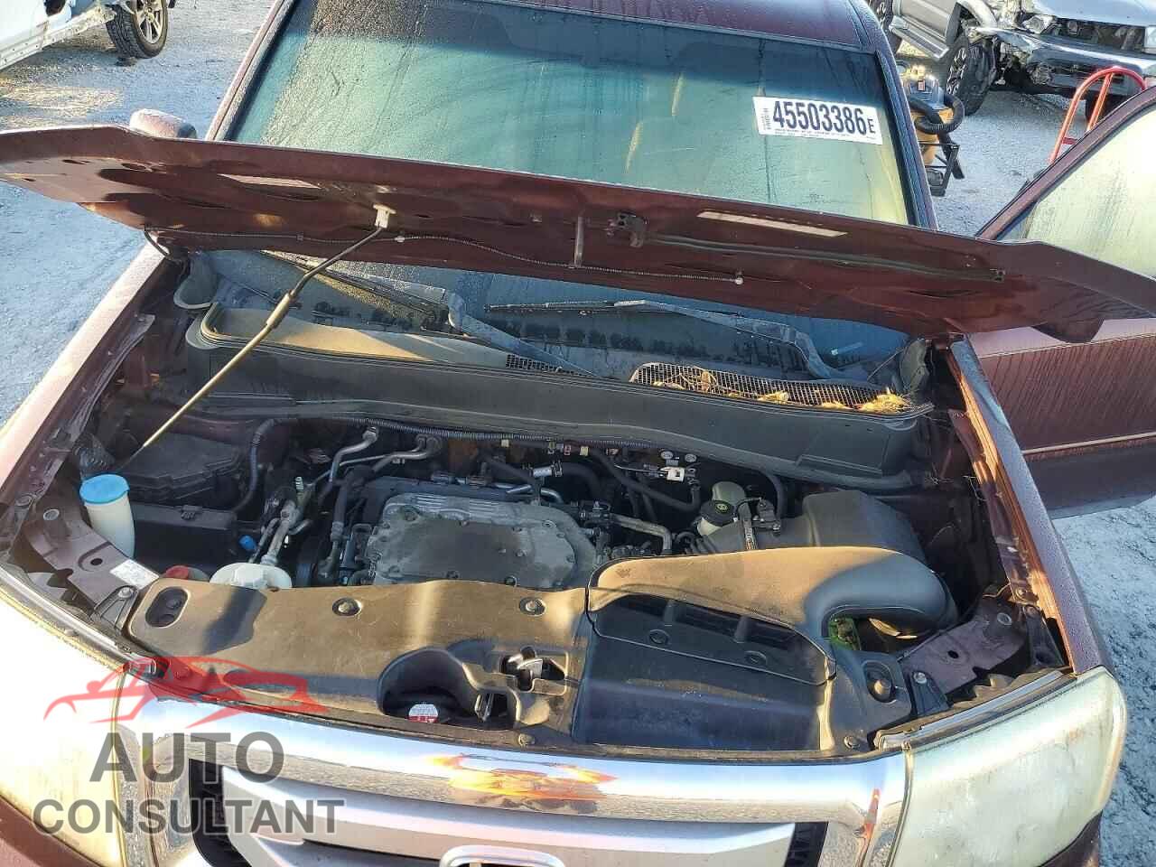 HONDA PILOT 2009 - 5FNYF38579B001020