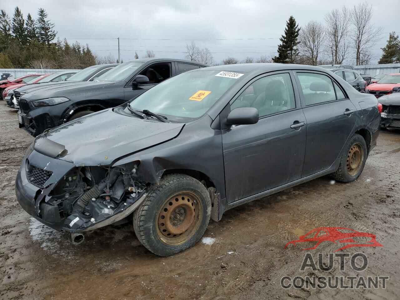 TOYOTA COROLLA 2009 - 2T1BU40E29C075074