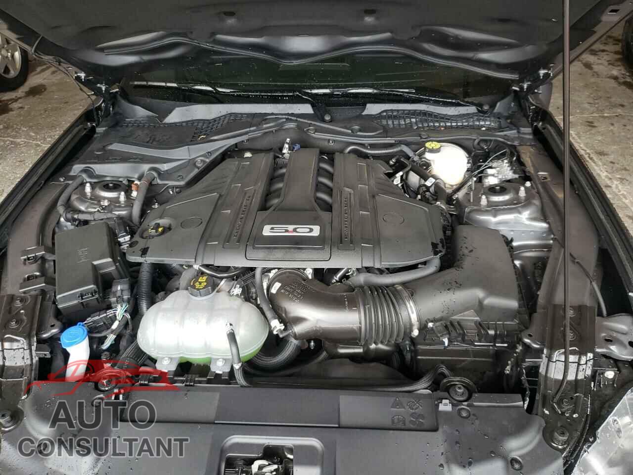 FORD MUSTANG 2021 - 1FA6P8CF8M5147816