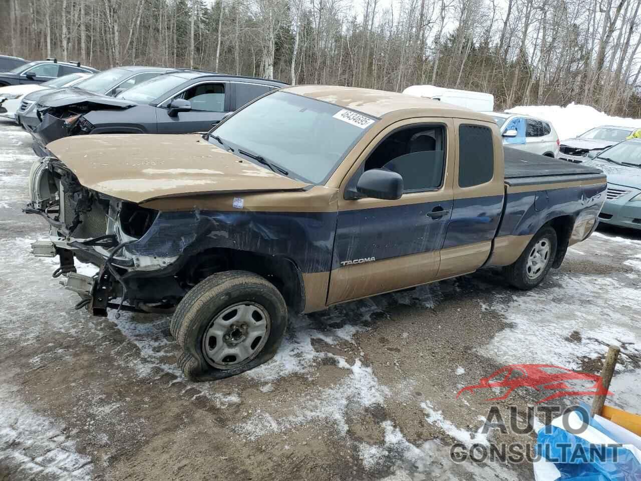 TOYOTA TACOMA 2009 - 5TETX22N49Z656342