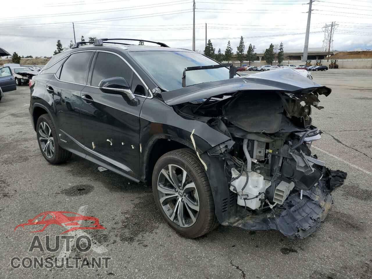 LEXUS RX450 2019 - 2T2BGMCA4KC034950