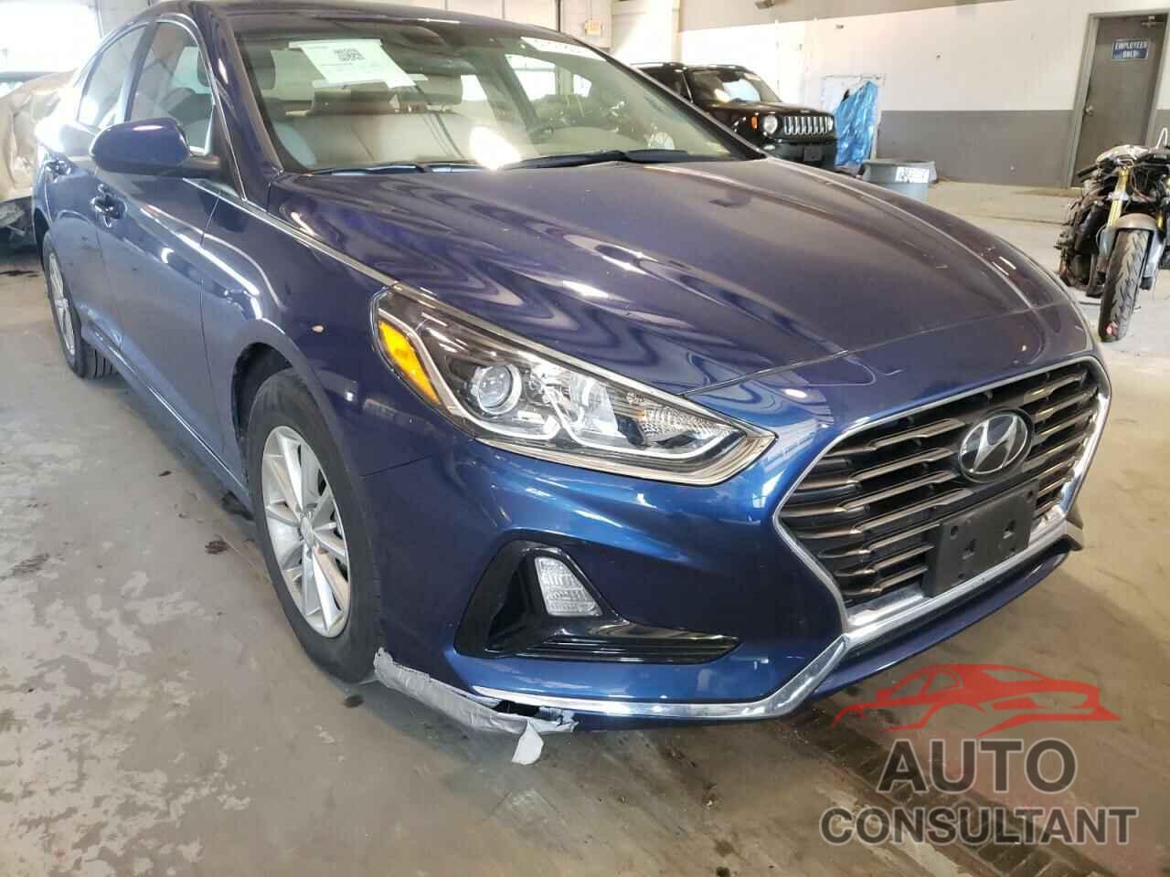 HYUNDAI SONATA 2019 - 5NPE24AF5KH788922