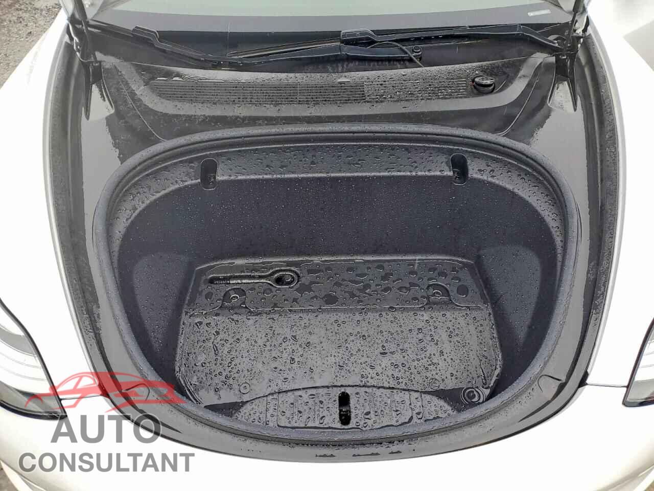 TESLA MODEL 3 2020 - 5YJ3E1EA4LF631376
