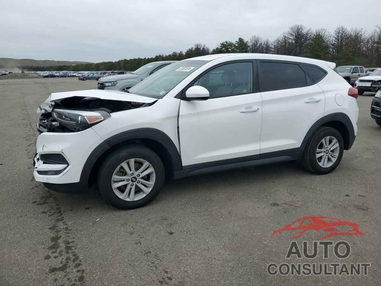 HYUNDAI TUCSON 2018 - KM8J2CA40JU824474