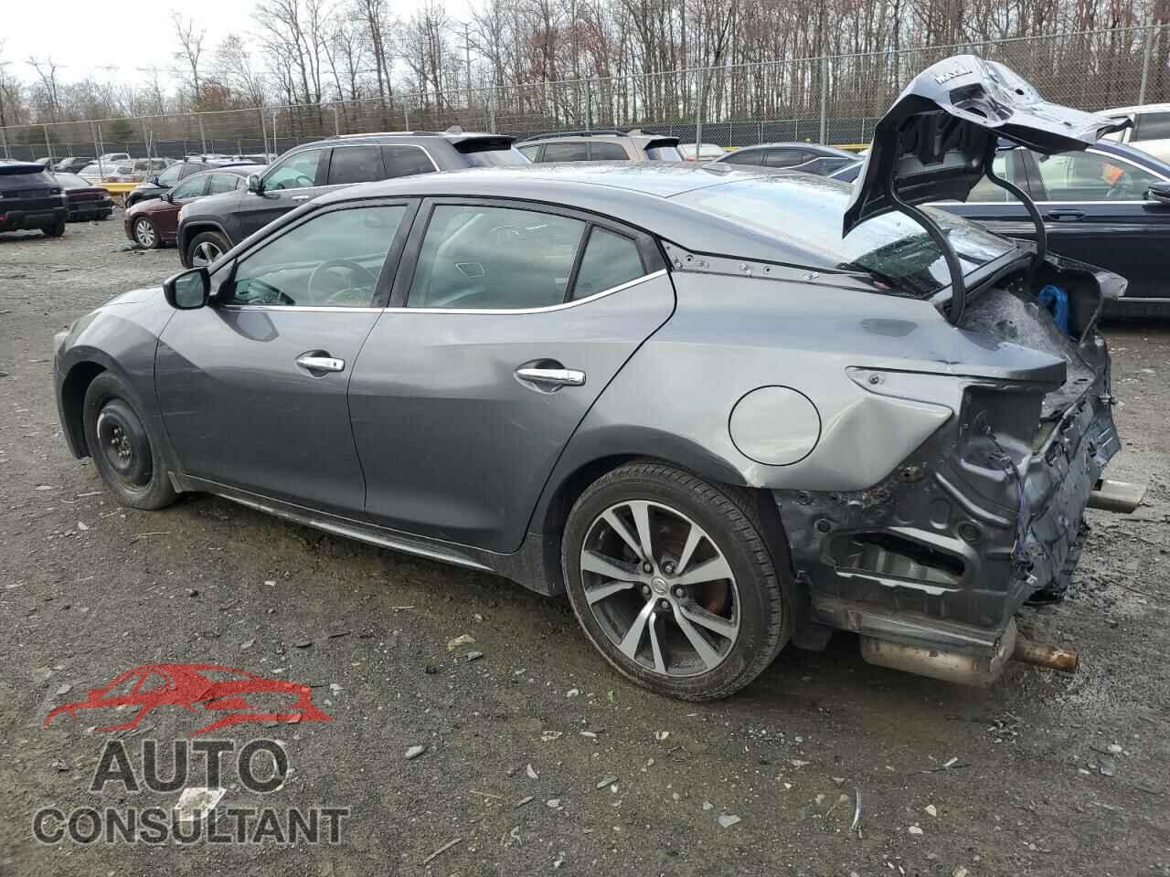 NISSAN MAXIMA 2017 - 1N4AA6AP5HC418344