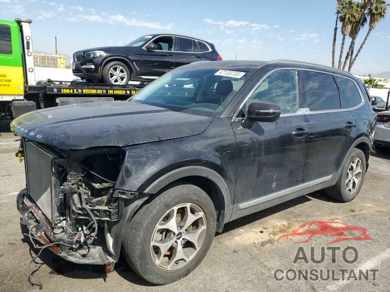 KIA TELLURIDE 2022 - 5XYP34HC2NG204313