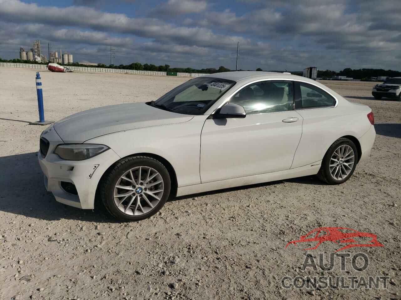 BMW 2 SERIES 2016 - WBA1F9C50GV544720
