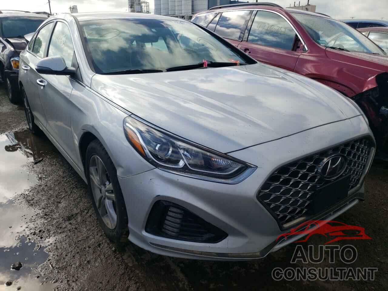 HYUNDAI SONATA 2019 - 5NPE34AF6KH786349