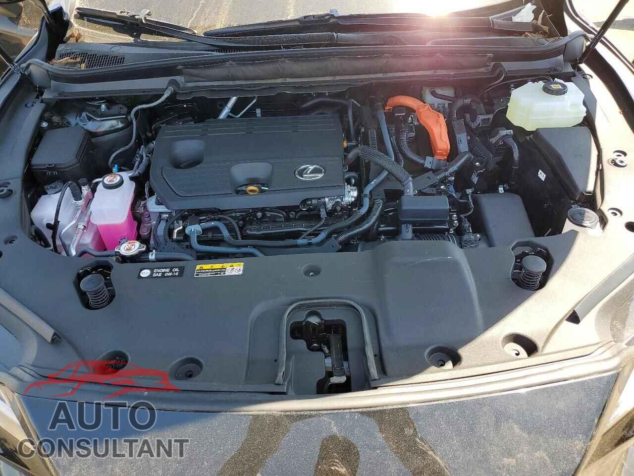 LEXUS UNKNOWN 2026 - 2T2BBMCA5TC118243