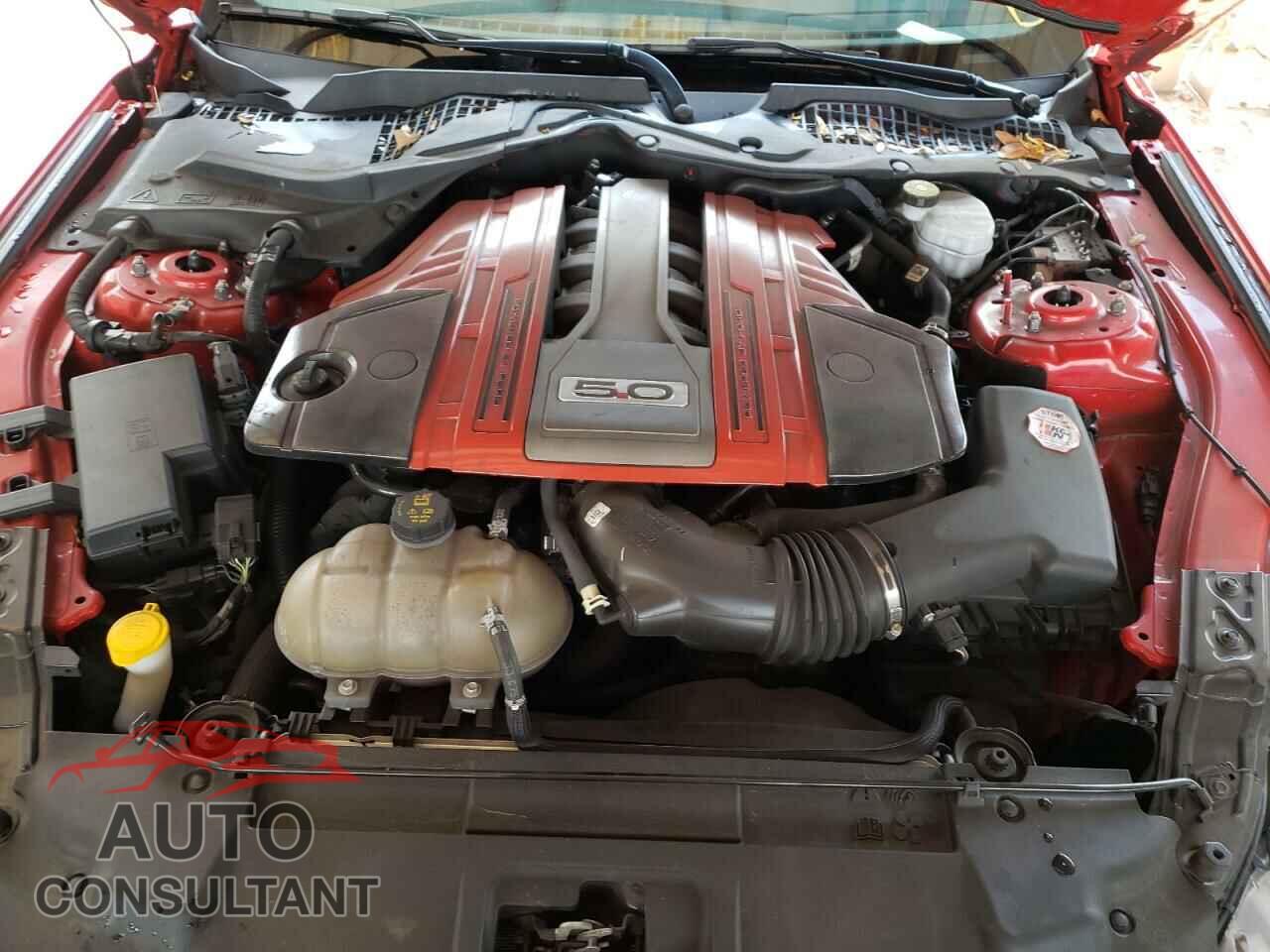 FORD MUSTANG 2019 - 1FA6P8CF8K5197192
