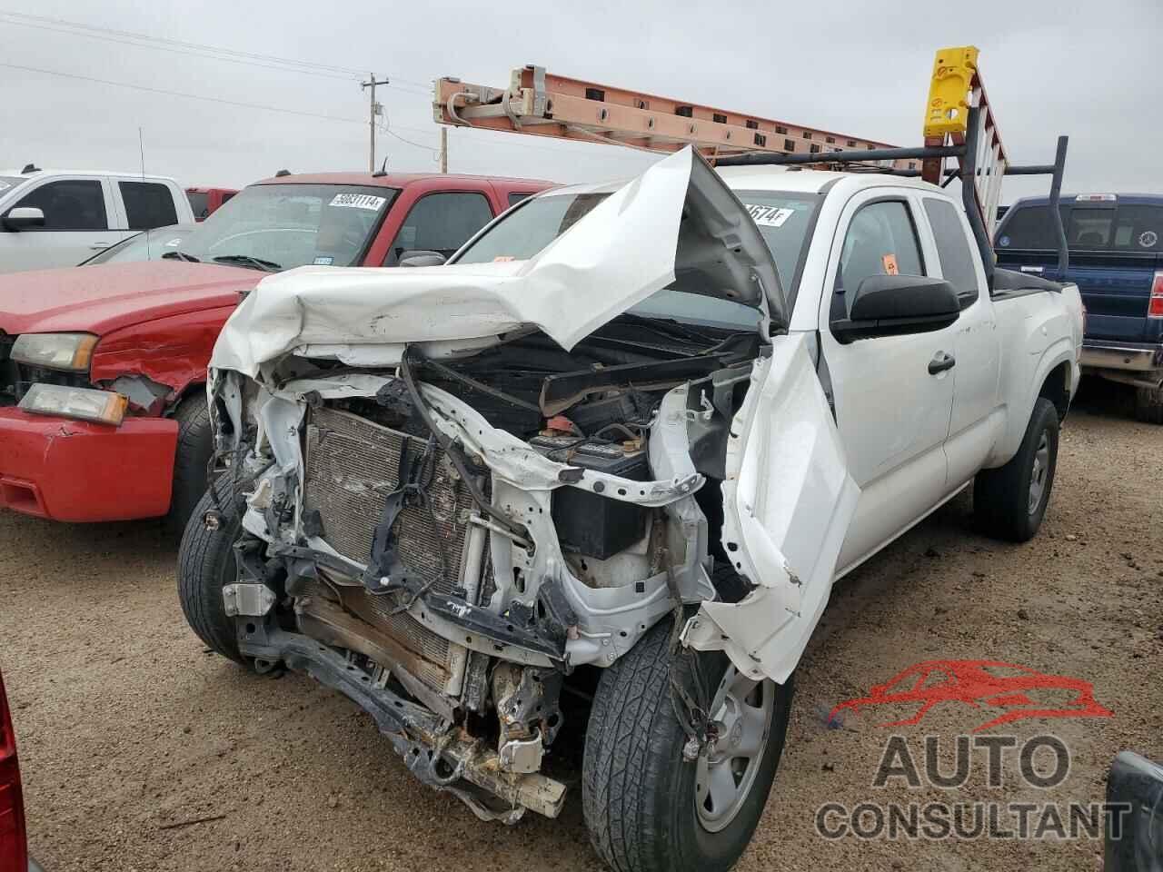 TOYOTA TACOMA 2020 - 3TYRX5GN8LT002862