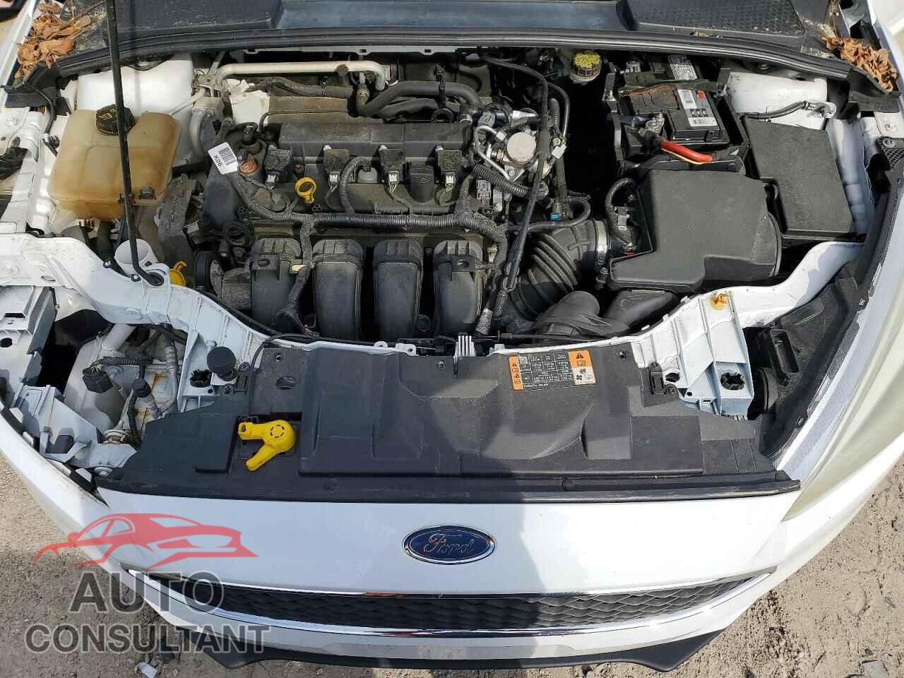 FORD FOCUS 2016 - 1FADP3E26GL325646