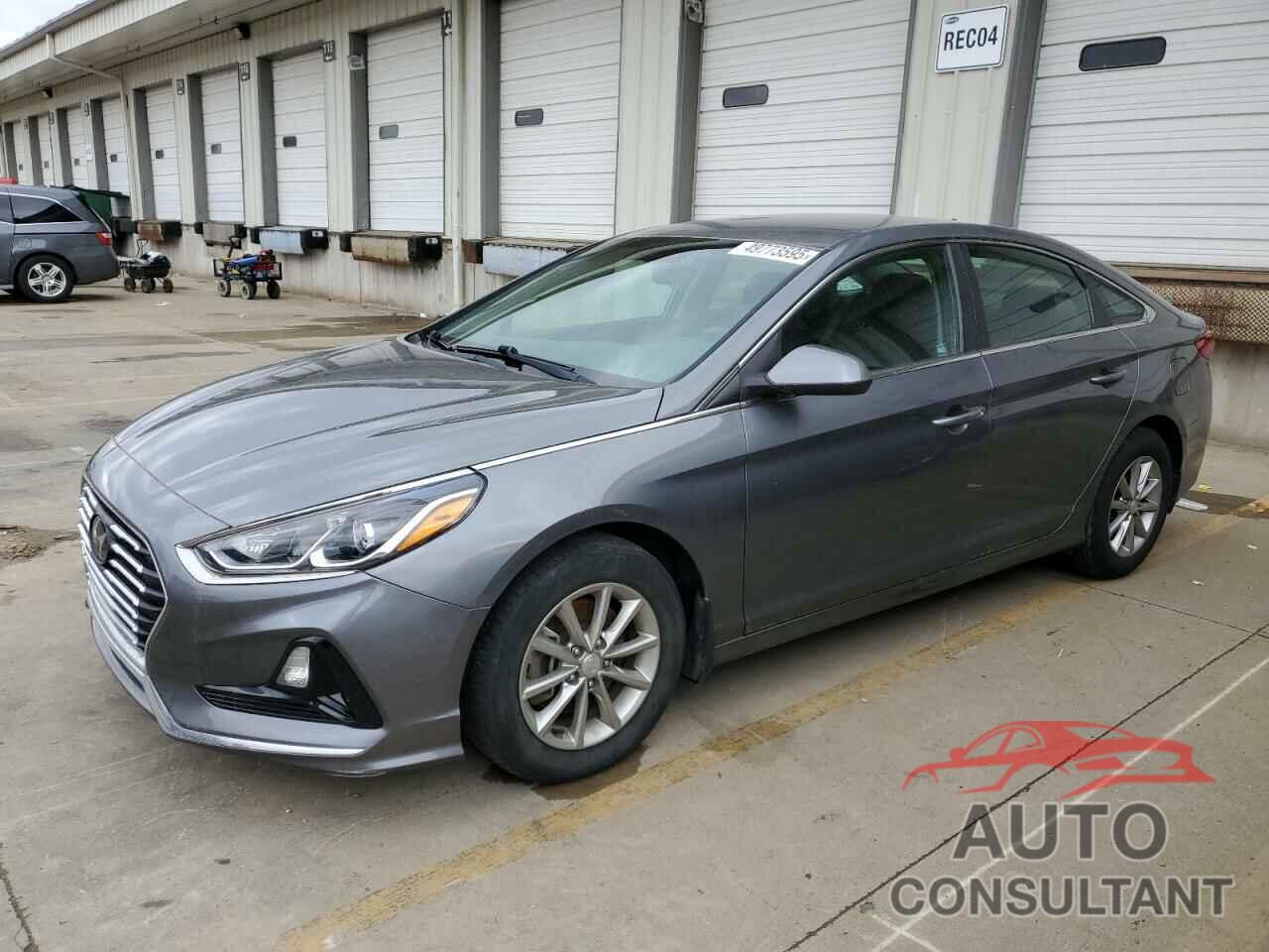 HYUNDAI SONATA 2019 - 5NPE24AF9KH803583