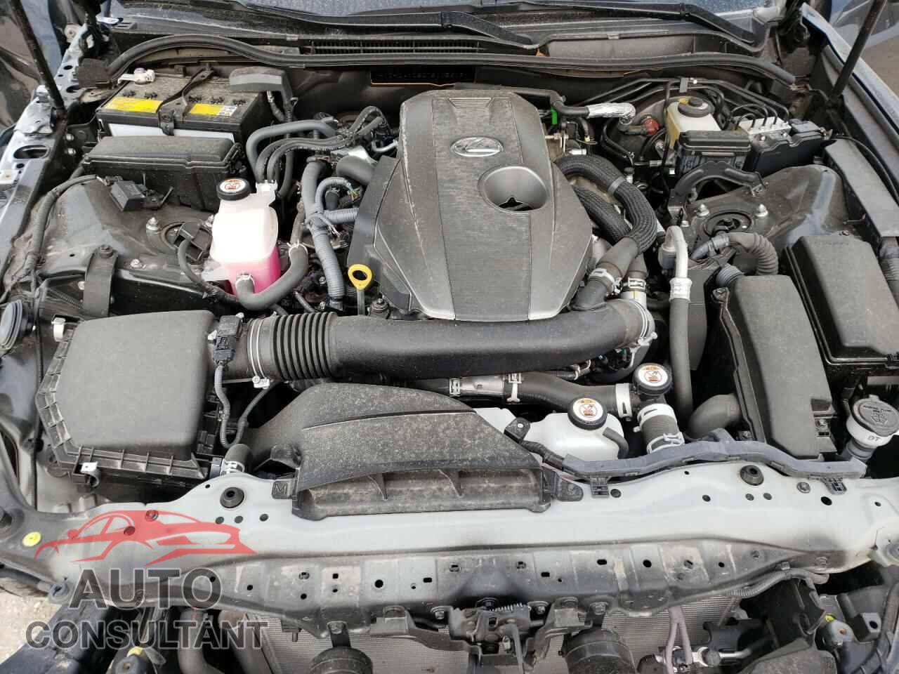 LEXUS IS 2021 - JTHCA1D20M5115619