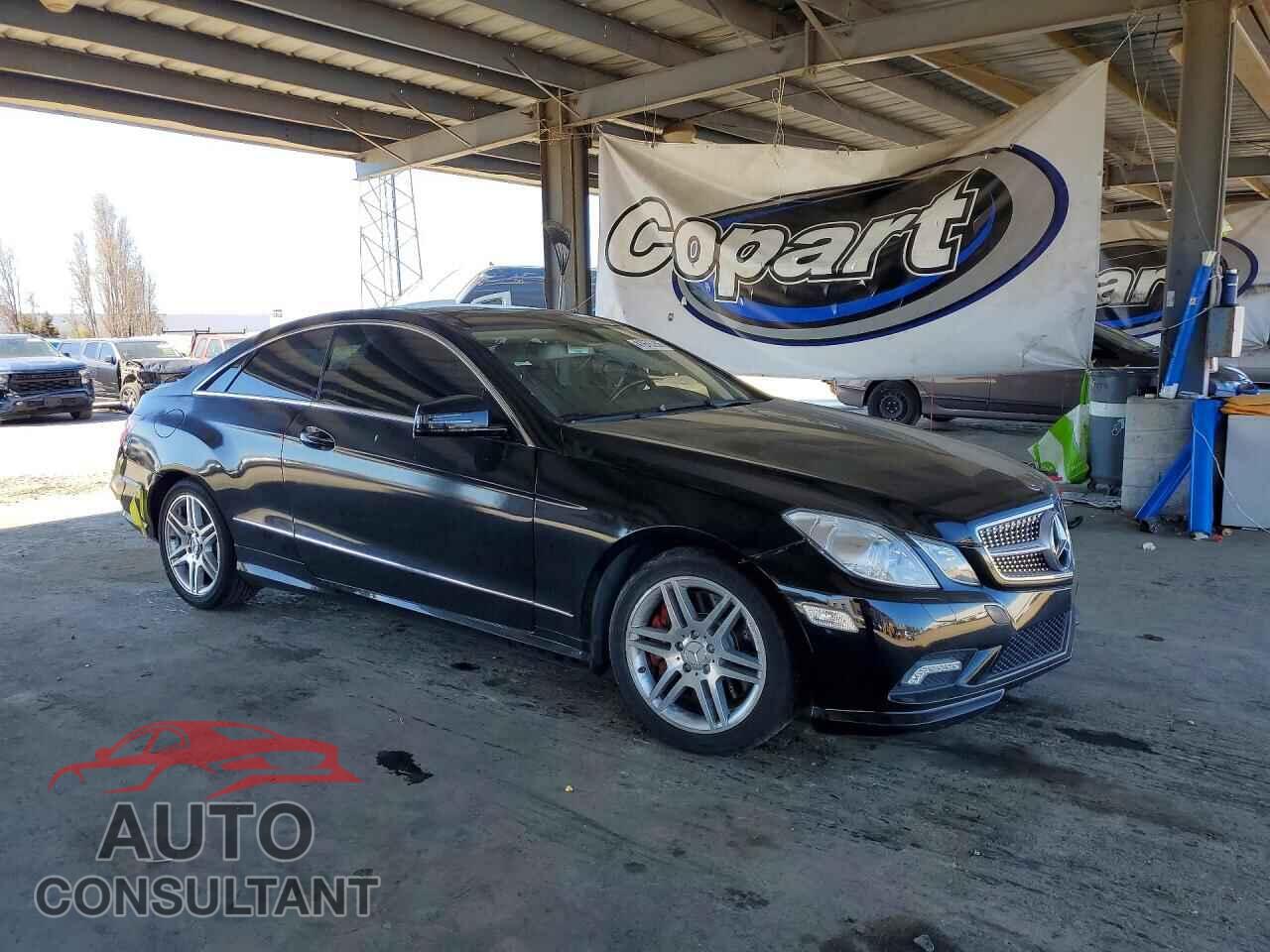 MERCEDES-BENZ E-CLASS 2010 - WDDKJ7CB2AF044341