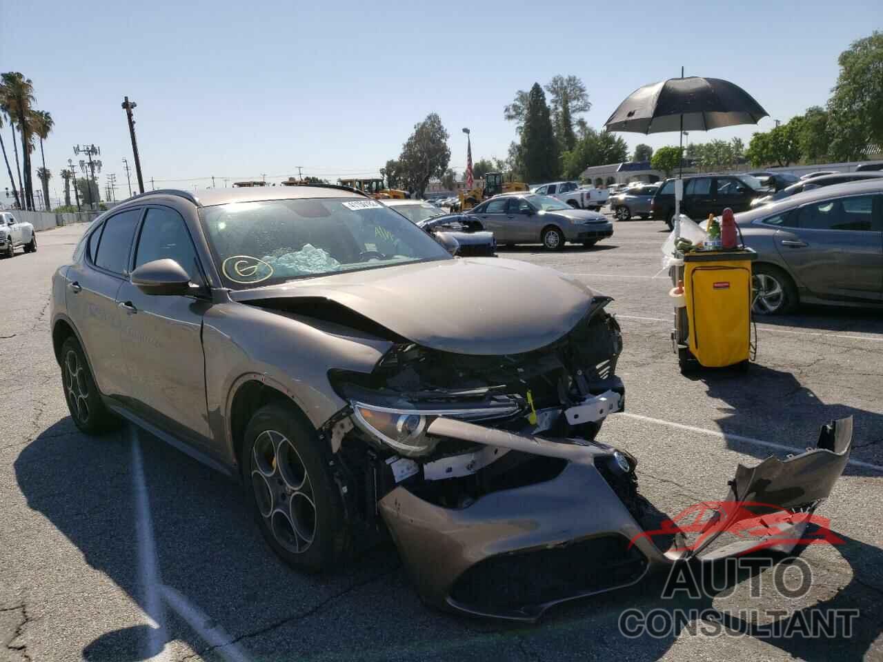 ALFA ROMEO STELVIO 2019 - ZASPAJAN3K7C35442