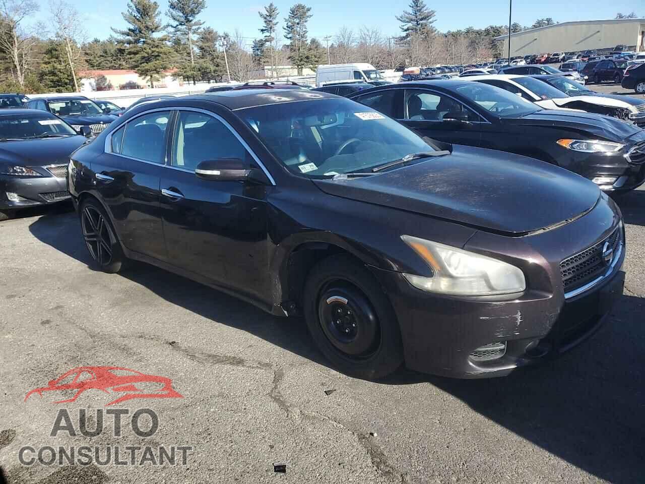 NISSAN MAXIMA 2011 - 1N4AA5AP1BC800940