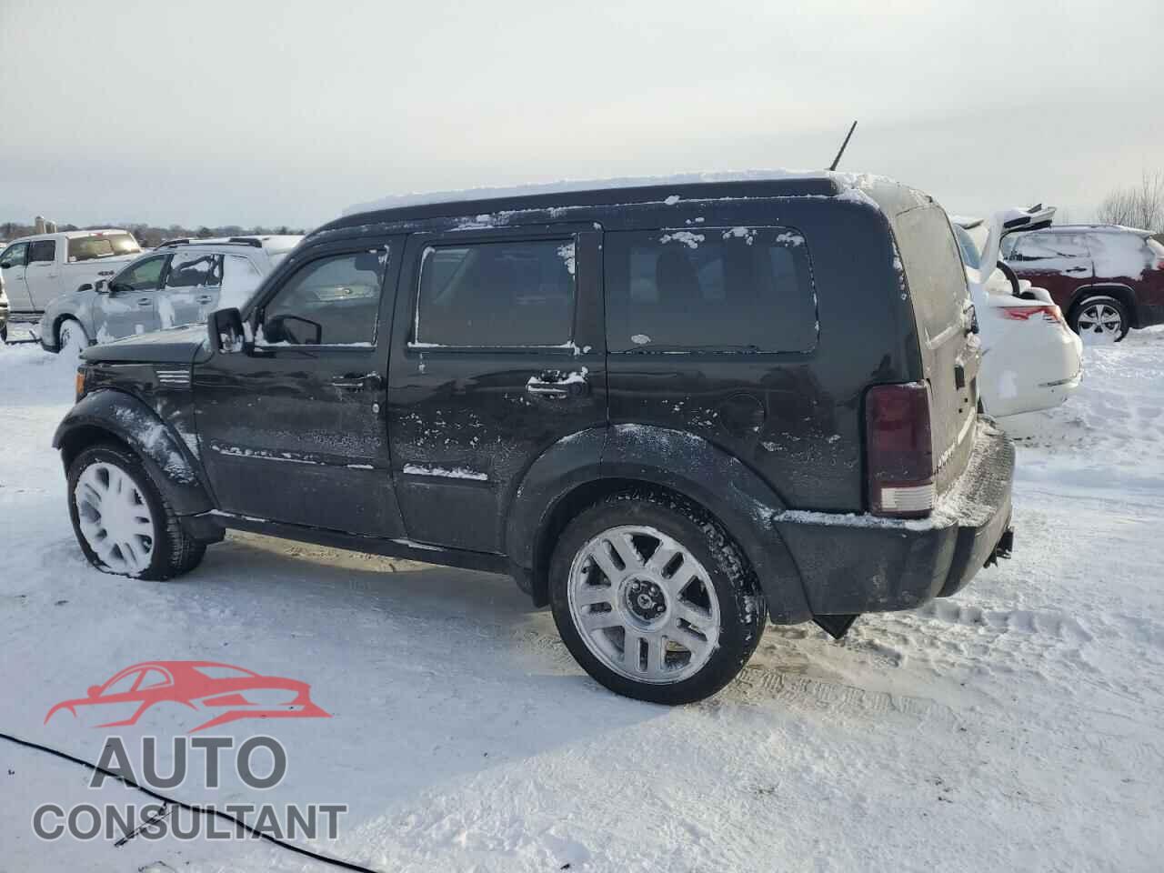 DODGE NITRO 2011 - 1D4PU4GX2BW501410