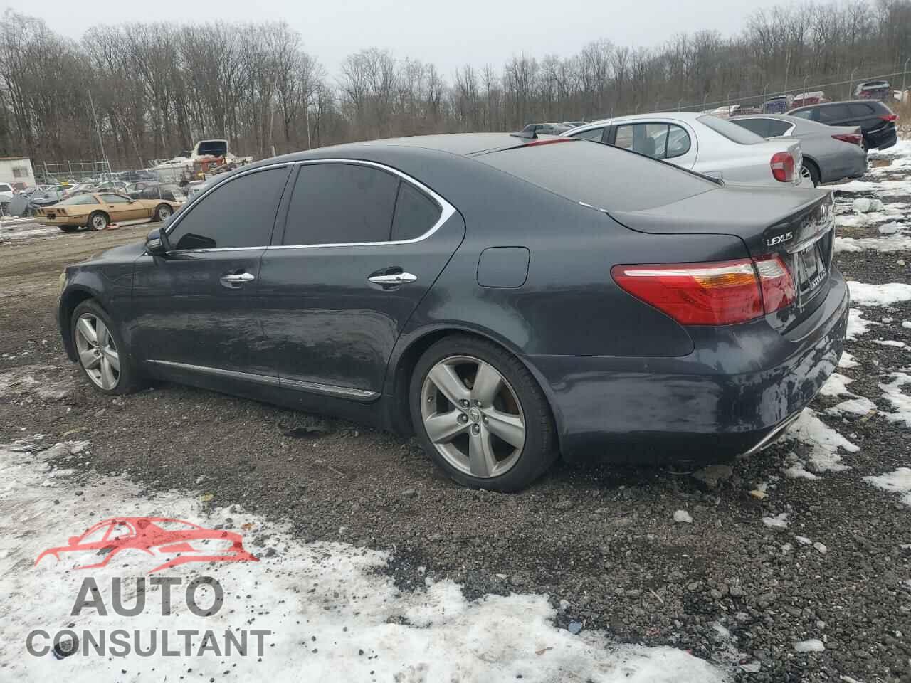 LEXUS LS460 2010 - JTHBL5EF4A5095403