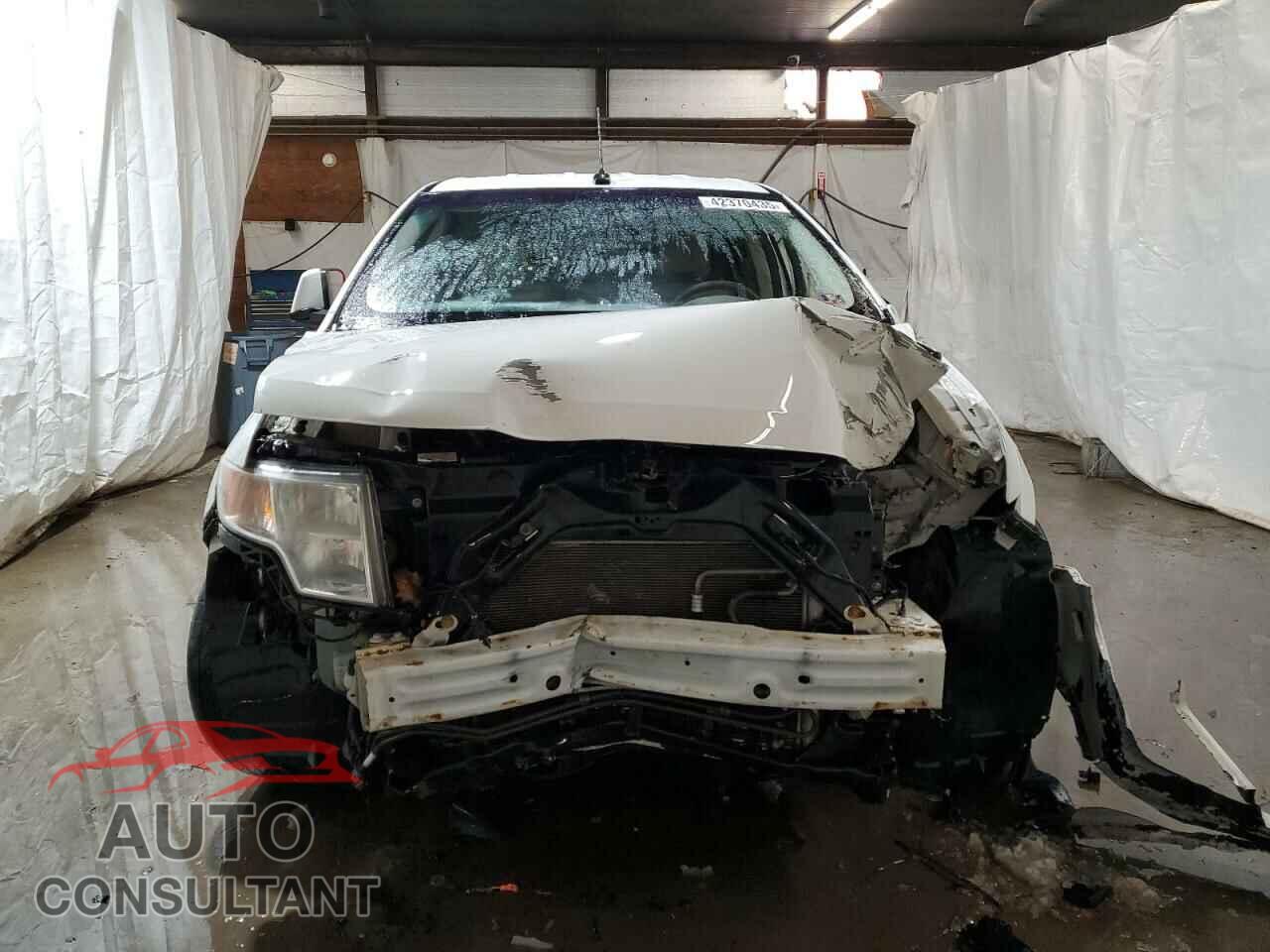 FORD EDGE 2009 - 2FMDK49C39BB05039