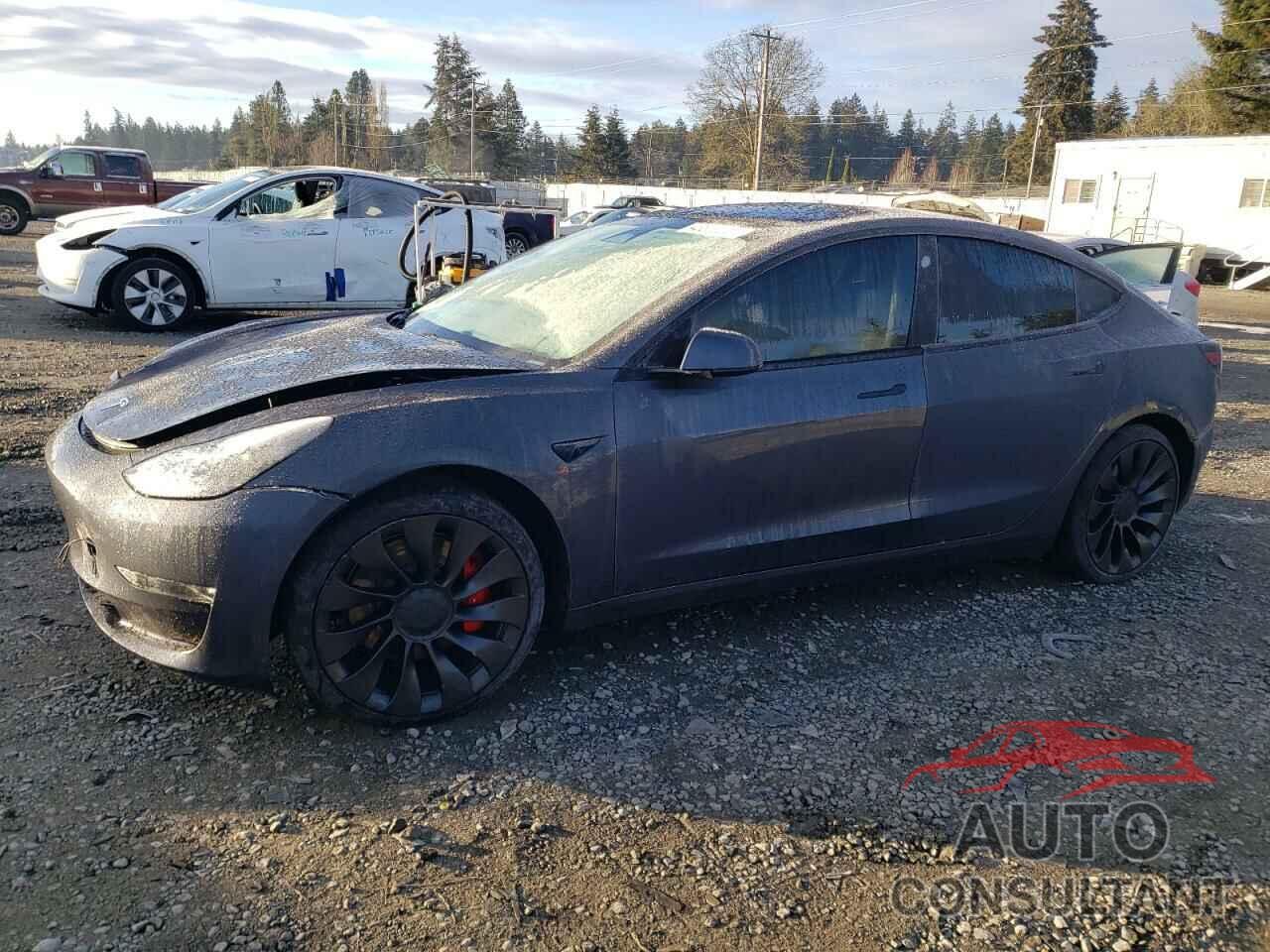 TESLA MODEL 3 2023 - 5YJ3E1EC0PF708624