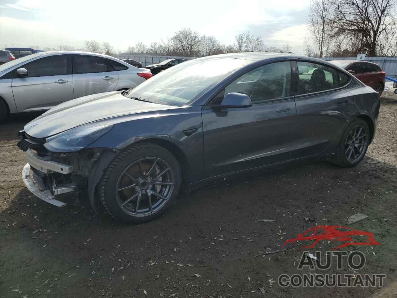 TESLA MODEL 3 2021 - 5YJ3E1EA2MF973930