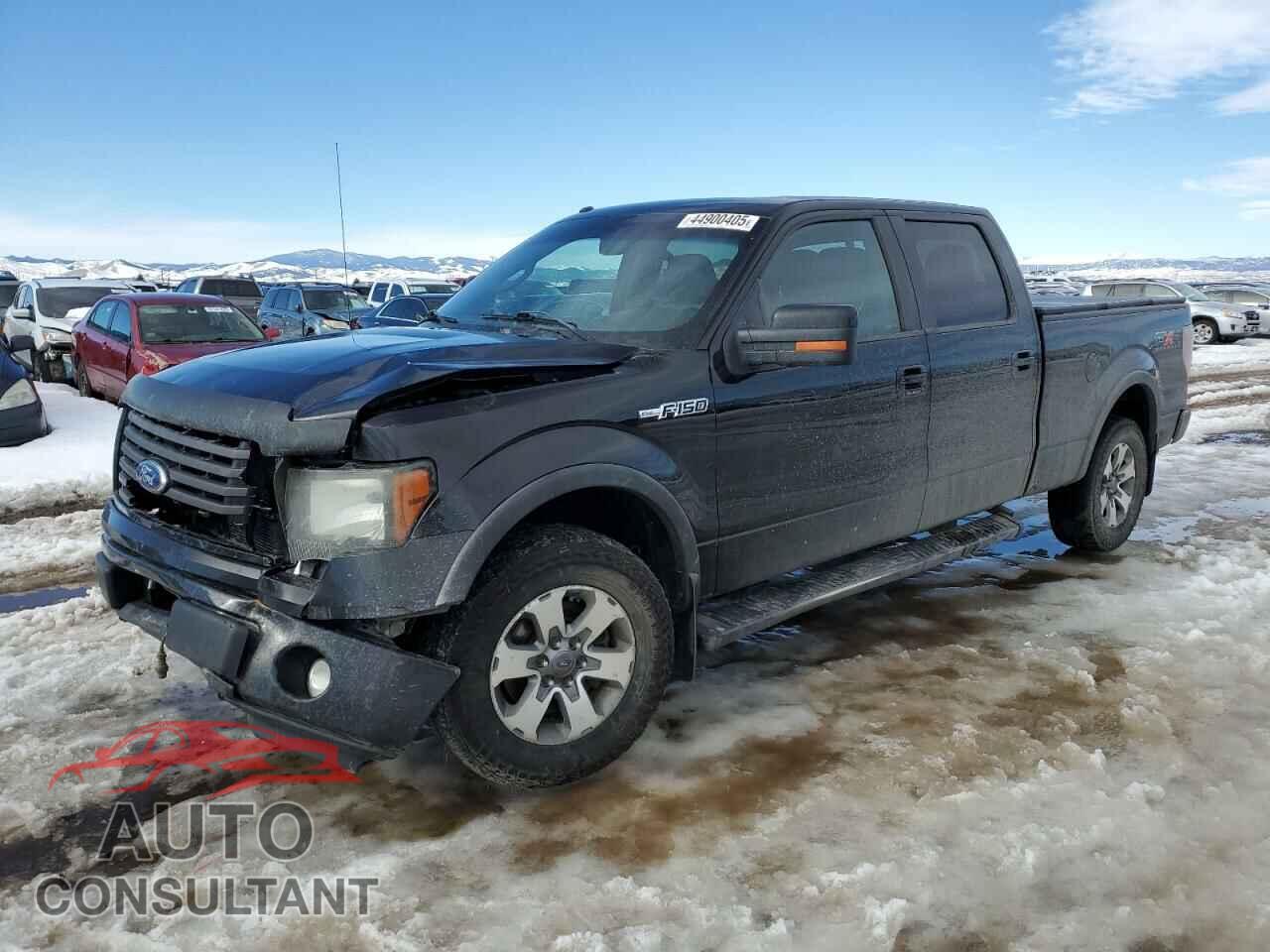 FORD F-150 2011 - 1FTFW1EF8BFB93865