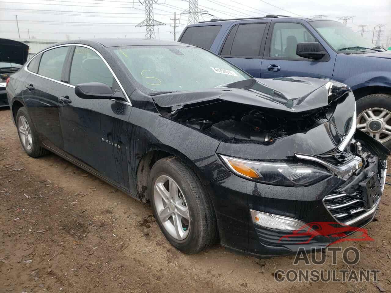 CHEVROLET MALIBU 2019 - 1G1ZB5ST8KF204060