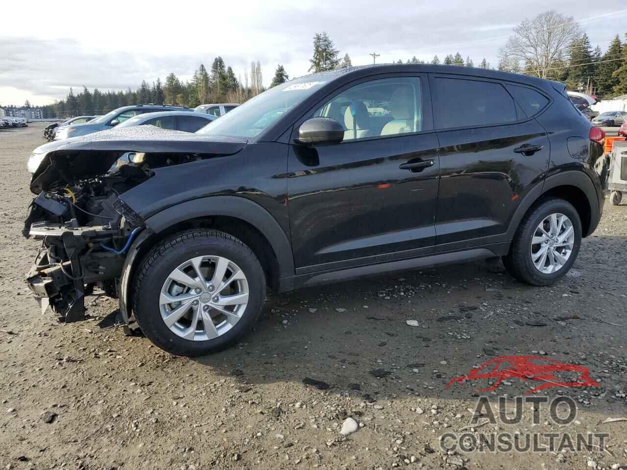 HYUNDAI TUCSON 2019 - KM8J2CA44KU056788