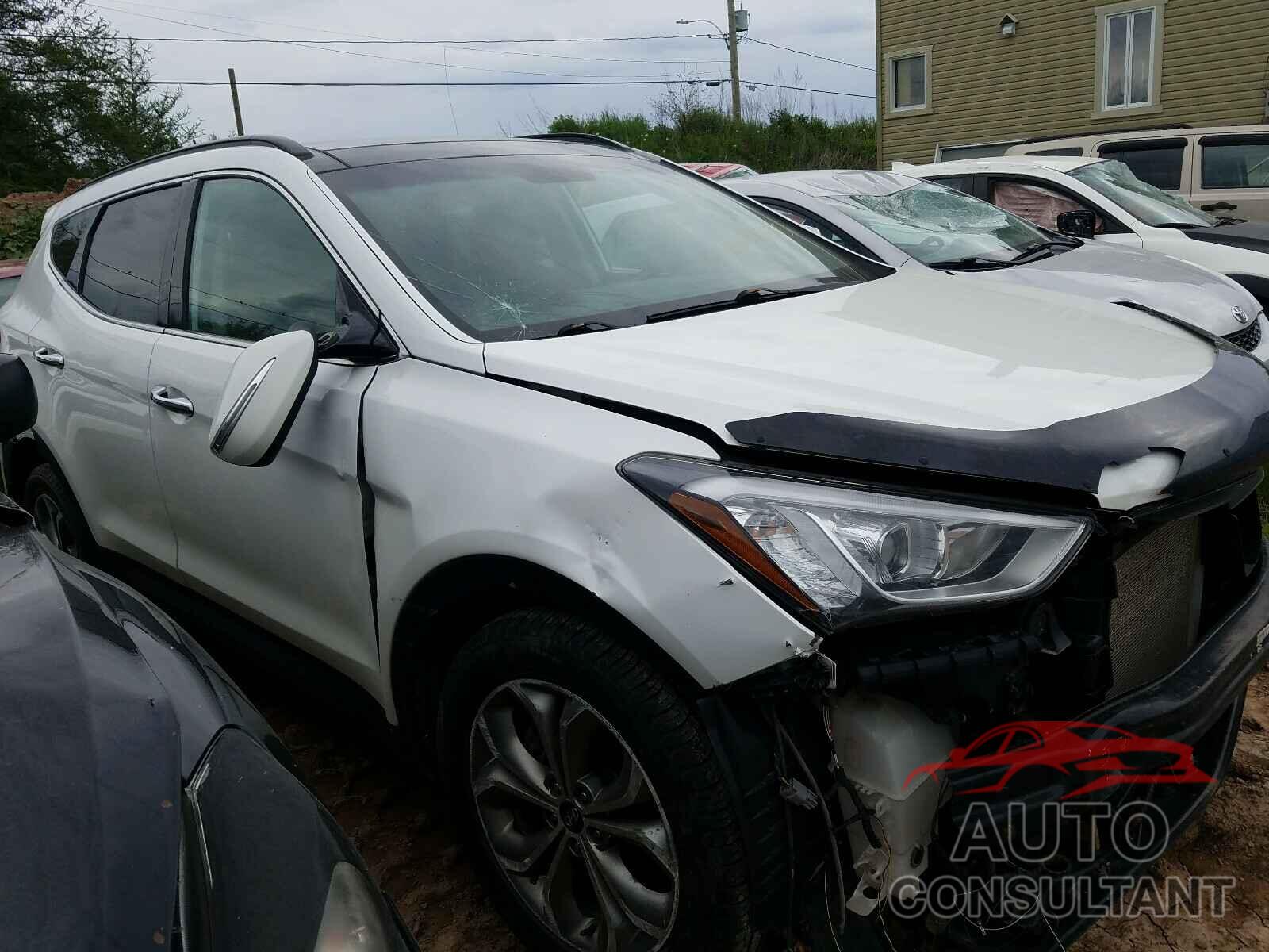 HYUNDAI SANTA FE 2016 - 5XYZUDLA3GG366661