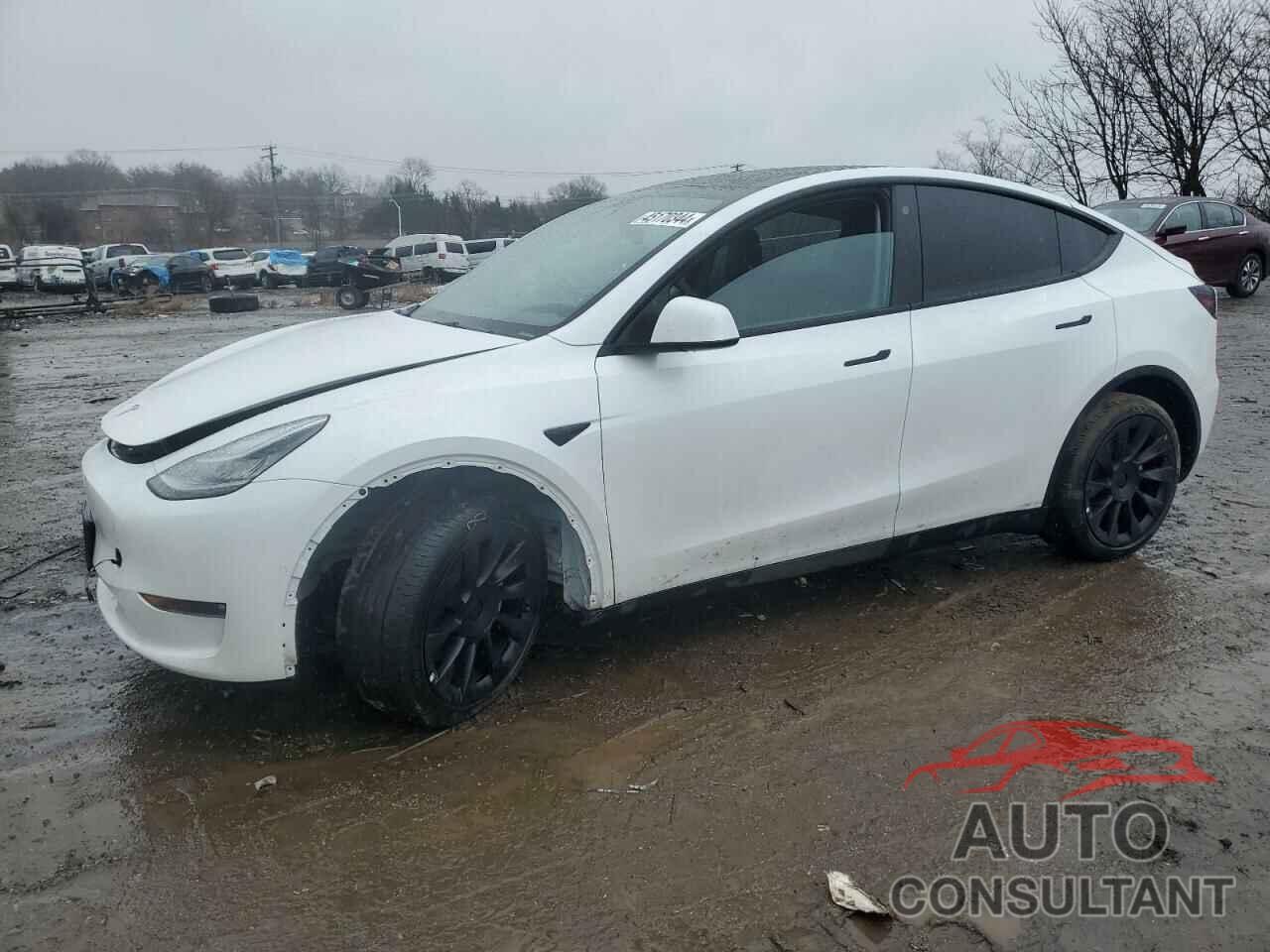 TESLA MODEL Y 2022 - 7SAYGAEE1NF431788