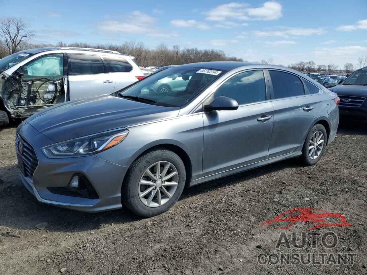 HYUNDAI SONATA 2019 - 5NPE24AFXKH777480